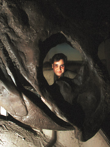 Neale Monks, a visiting research professor at the University of Nebraska State Museum, is framed by the skull of a...