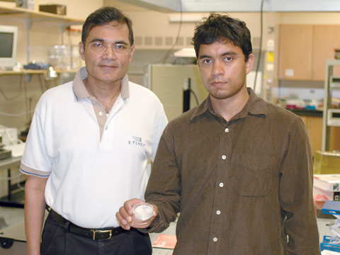 DEVICE DEVELOPERS - Ravi Saraf (left) and doctoral student Vivek Maheshwari display a sample of their high-resolution device. The sensor has...