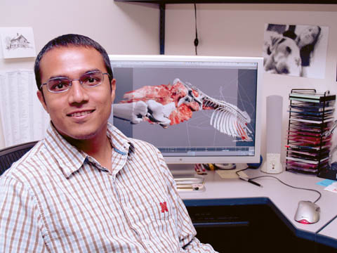 3D Creator � Vishal Singh, a specialist with Communication Information Technology, helped create the 3D bovine video (pictured on the screen...
